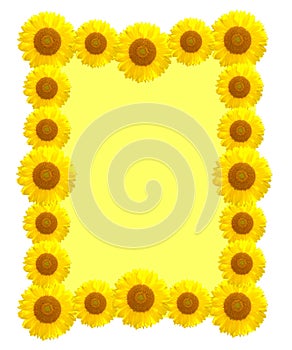 Beautiful yellow Sunflower frame