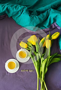 Beautiful yellow tulips