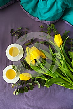 Beautiful yellow tulips