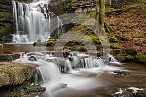 Beautiful Yorkshire Waterfall Scaleber Force In Peaceful Woodland.