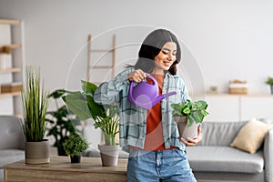 Beautiful young Arab female watering houseplants in living room. Gardening, cozy home atmoshpere concept