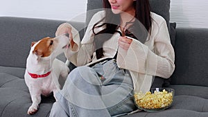 Beautiful young asian woman and dog sitting on sofa watching movie on television for leisure in living room.