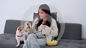 Beautiful young asian woman and dog sitting on sofa watching movie on television for leisure in living room.