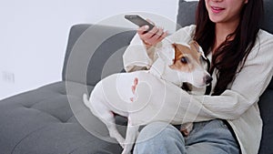 Beautiful young asian woman and dog sitting on sofa watching movie on television for leisure in living room.