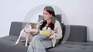 Beautiful young asian woman and dog sitting on sofa watching movie on television for leisure in living room at home.