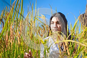 Asian woman in the green rice fields meadow