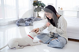 Beautiful young asian woman playful with dog for relax with love in the bedroom at home, friends pet with companion.