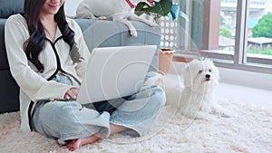 Beautiful young asian woman smile sitting working on laptop computer to internet online with cozy with companion dog in the living
