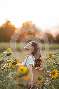 Beautiful young Asian woman in sunflower field at sunset. Model with dark long curly hair. Summer, sun