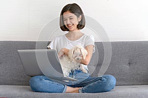 Beautiful young asian woman working on sofa at home with her maltese dog, Cheerful and nice couple with people and pet