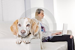 Beautiful young blonde woman with her dog at home