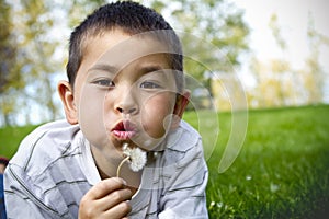 Beautiful young boy with bright eyes - dandelion