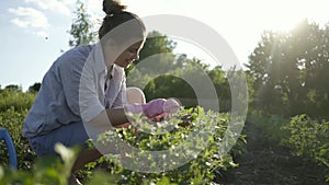 Beautiful young caucasian woman working in gloves in a garden outdoors