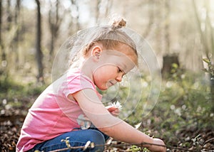 Beautiful young cute girl in woods picking wild flowers in summer sunshine with light rays shining