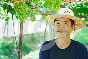 Beautiful young eastern woman harvesting black grapes outdoors in vineyard