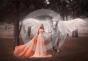 Beautiful, young elf, walking with a unicorn. She is wearing an incredible light, white dress. Art hotography