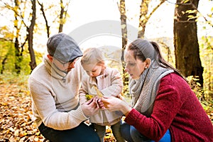 Beautiful young family on a walk in autumn forest.