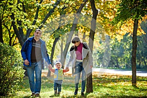 Beautiful young family on a walk in autumn forest on maple yellow trees background. Father and mother hold son on hands. Happy fa