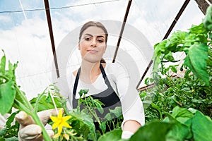 Beautiful young female gardener