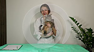 beautiful young female veterinarian holds gray cat in her arms. pet was examined at veterinary clinic.