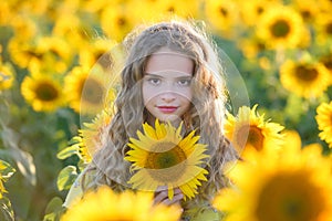 Beautiful young on the field of sunflowers