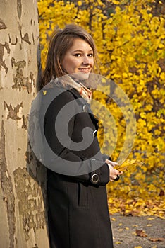 Beautiful young girl in an autumn park