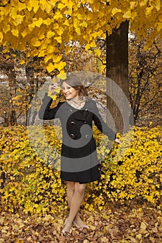 Beautiful young girl in an autumn park