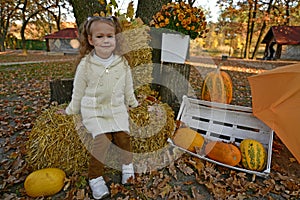 Beautiful young girl on an autumn walk in the village.