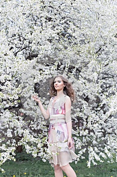 Beautiful young girl with curls in an air colored dress with a wreath on her head walking in the park near a cherry blossom