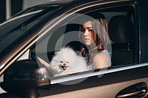 beautiful young girl driving a luxury car with a dog