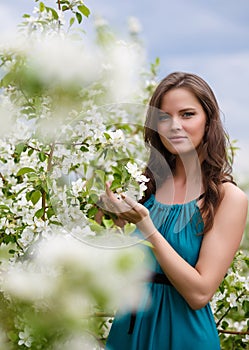 Beautiful, young, the girl with flowers of an apple-tree