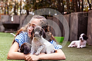 Beautiful young girl having fun with her small French Braque puppies