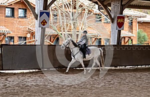 beautiful young girl on her white pony during her riding lesson