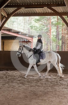 beautiful young girl on her white pony during her riding lesson