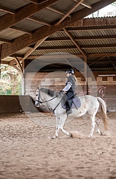 beautiful young girl on her white pony during her riding lesson