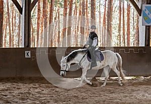 beautiful young girl on her white pony during her riding lesson