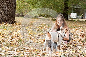 Beautiful young girl with her Yorkshire terrier dog puppy enjoying and playing in the autumn day in the park selective focus