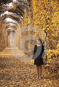 Beautiful young girl in a mysterious autumn park
