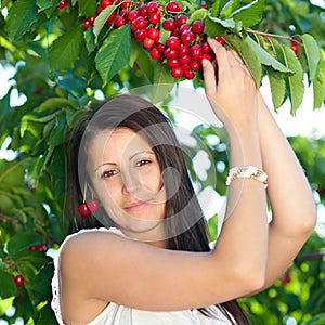 Beautiful young girl picking cherries