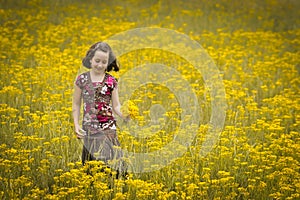 Beautiful young girl picking flowers in a field