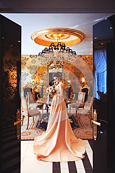 A beautiful young girl in a powdery wedding dress on the background of the interiors of a luxurious historical apartment.