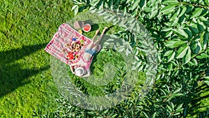 Beautiful young girl relaxing on grass, having summer picnic in park outdoors, aerial view from above