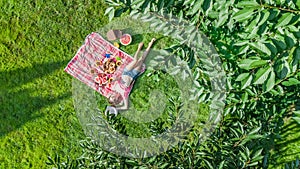 Beautiful young girl relaxing on grass, having summer picnic in park outdoors, aerial view from above