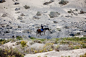 Beautiful young girl riding a horse in the desert of the Canary Islands.