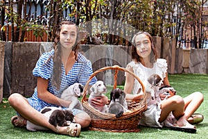 Beautiful young girls having fun with their small French Braque puppies