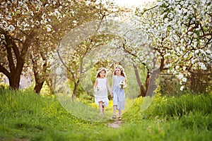 Beautiful young girls in long dresses in the garden with blosoming  apple trees. Smiling girls runing, having fun and enjoying