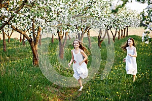 Beautiful young girls in white dresses in the garden with apple trees blosoming at the sunset. two friends hugging