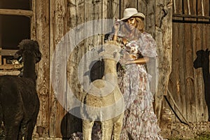 Beautiful young happy woman with cute alpacas on a spring day at the alpaca ranch. Pretty cowgirl with alpacas