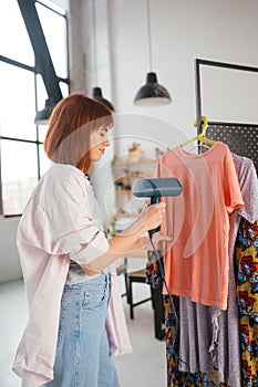 Beautiful young housewife irons clothes with a steamer at home.