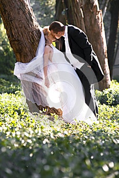 Beautiful young newly wed couple leaning against tree trunk in forest
